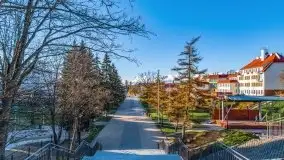 Mrągowo w wiosennym słońcu - zdjęcie 26