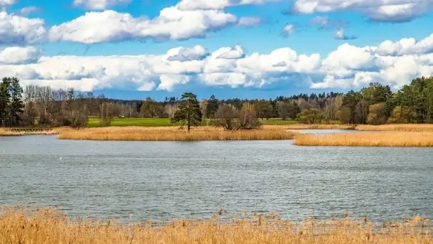 Piecki, ścieżka edukacyjna wokół stawu - zdjęcie 4
