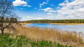 Piecki, ścieżka edukacyjna wokół stawu - zdjęcie 19