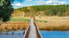 Piecki, ścieżka edukacyjna wokół stawu - zdjęcie 23