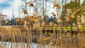 Piecki, ścieżka edukacyjna wokół stawu - zdjęcie 76