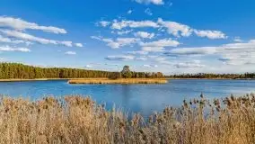 Piecki, ścieżka edukacyjna wokół stawu - zdjęcie 70