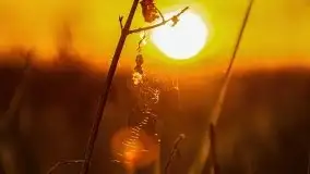 Zachód słońca nad jeziorem Wojnowo - zdjęcie 33