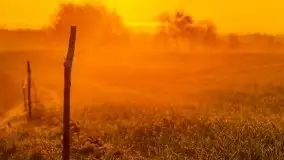 Majowy wschód słońca nad jeziorem Wojnowo - zdjęcie 50