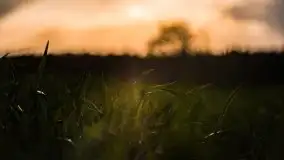 Majowy wieczór z mazurską przyrodą - zdjęcie 19