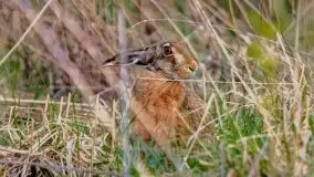 Majowy wieczór z mazurską przyrodą - zdjęcie 21