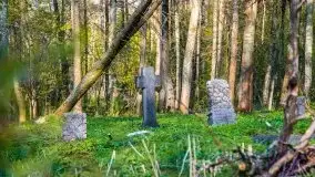 Wiosenne widoki z okolic Sztynortu, maj 2021 - zdjęcie 21