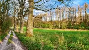 Wiosenne widoki z okolic Sztynortu, maj 2021 - zdjęcie 50