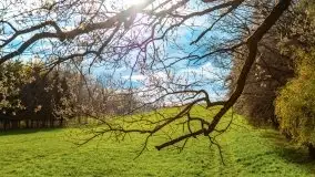 Wiosenne widoki z okolic Sztynortu, maj 2021 - zdjęcie 26