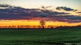 Wiosenne widoki z okolic Sztynortu, maj 2021 - zdjęcie 61