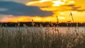 Zachód słońca nad jeziorem Święcajty, maj 2021 - zdjęcie 7