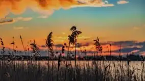 Zachód słońca nad jeziorem Święcajty, maj 2021 - zdjęcie 26