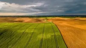 Wiosna na całego na i piękne okoliczności przyrody - zdjęcie 8