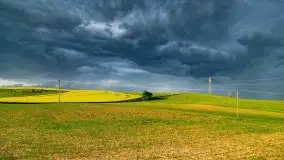 Wiosna na całego na i piękne okoliczności przyrody - zdjęcie 29