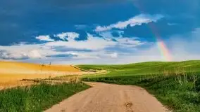 Wiosna na całego na i piękne okoliczności przyrody - zdjęcie 37