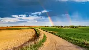 Wiosna na całego na i piękne okoliczności przyrody - zdjęcie 34