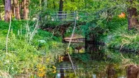 Zachód słońca nad jeziorem Jeziorowskie - zdjęcie 10