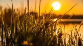Zachód nad jeziorem Ryńskim, zatoka Mrówcza - zdjęcie 6