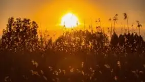 Zachód nad jeziorem Ryńskim, zatoka Mrówcza - zdjęcie 40