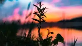 Zachód słońca nad jeziorem Tajty - zdjęcie 2