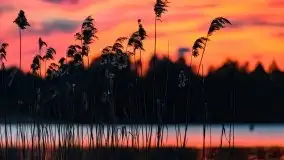 Zachód słońca nad jeziorem Tajty - zdjęcie 10