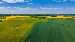 Mazurskie złote, piękne, rzepakowe pola - zdjęcie 6