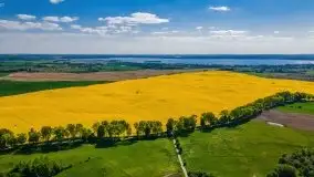 Mazurskie złote, piękne, rzepakowe pola - zdjęcie 16