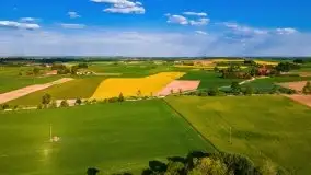 Mazurskie złote, piękne, rzepakowe pola - zdjęcie 55