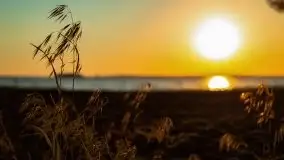 Zachód słońca nad jeziorem Dargin, Poganty - zdjęcie 45