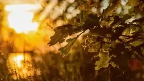 Zachód słońca nad jeziorem Dargin - zdjęcie 5