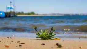 Podsumowanie wiosny 2021, zdjęcia z wielu miejsc - zdjęcie 91