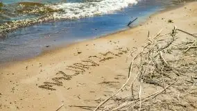 Podsumowanie wiosny 2021, zdjęcia z wielu miejsc - zdjęcie 41