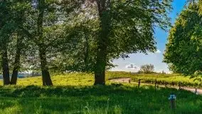 Podsumowanie wiosny 2021, zdjęcia z wielu miejsc - zdjęcie 39