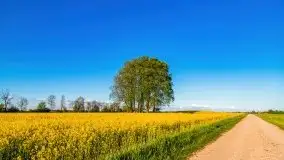 Podsumowanie wiosny 2021, zdjęcia z wielu miejsc - zdjęcie 81