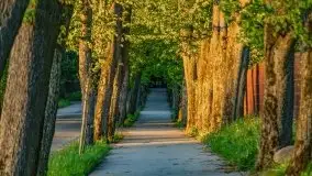 Podsumowanie wiosny 2021, zdjęcia z wielu miejsc - zdjęcie 83