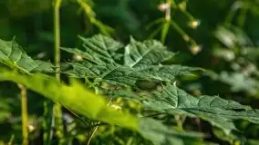 Podsumowanie wiosny 2021, zdjęcia z wielu miejsc - zdjęcie 132