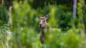 Podsumowanie wiosny 2021, zdjęcia z wielu miejsc - zdjęcie 15