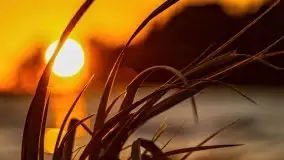 Zachód słońca nad jeziorem Niegocin - zdjęcie 20