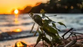 Zachód słońca nad jeziorem Niegocin - zdjęcie 8