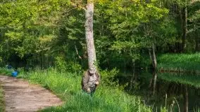 Majowe zawody wędkarskie nad kanałem mazurskim - zdjęcie 7