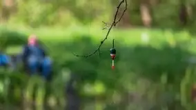 Majowe zawody wędkarskie nad kanałem mazurskim - zdjęcie 40