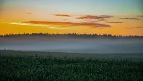 Wiosenne mgły nad polami Mazur w okolicy Pozezdrza - zdjęcie 6
