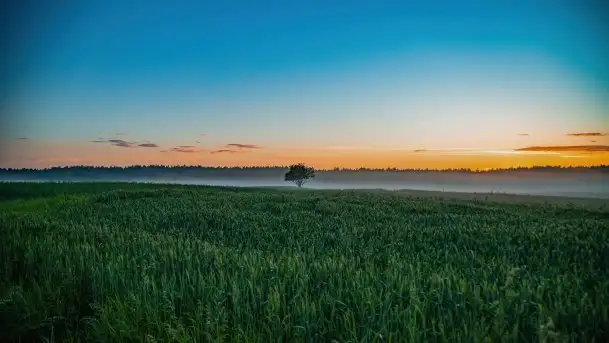 Wiosenne mgły nad polami Mazur w okolicy Pozezdrza