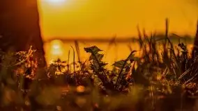 Zachód słońca nad jeziorem Mamry, czerwiec 2021 - zdjęcie 27