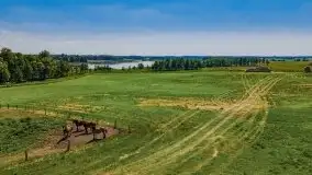 Czerwcowe Mazury, kompilacja niewykorzystanych zdjęć, 2021 - zdjęcie 49