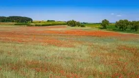 Czerwcowe Mazury, kompilacja niewykorzystanych zdjęć, 2021 - zdjęcie 52