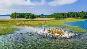 Czerwcowe Mazury, kompilacja niewykorzystanych zdjęć, 2021 - zdjęcie 36