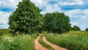 Czerwcowe Mazury, kompilacja niewykorzystanych zdjęć, 2021 - zdjęcie 65