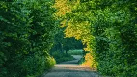 Czerwcowe Mazury, kompilacja niewykorzystanych zdjęć, 2021 - zdjęcie 92