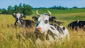 Czerwcowe Mazury, kompilacja niewykorzystanych zdjęć, 2021 - zdjęcie 74